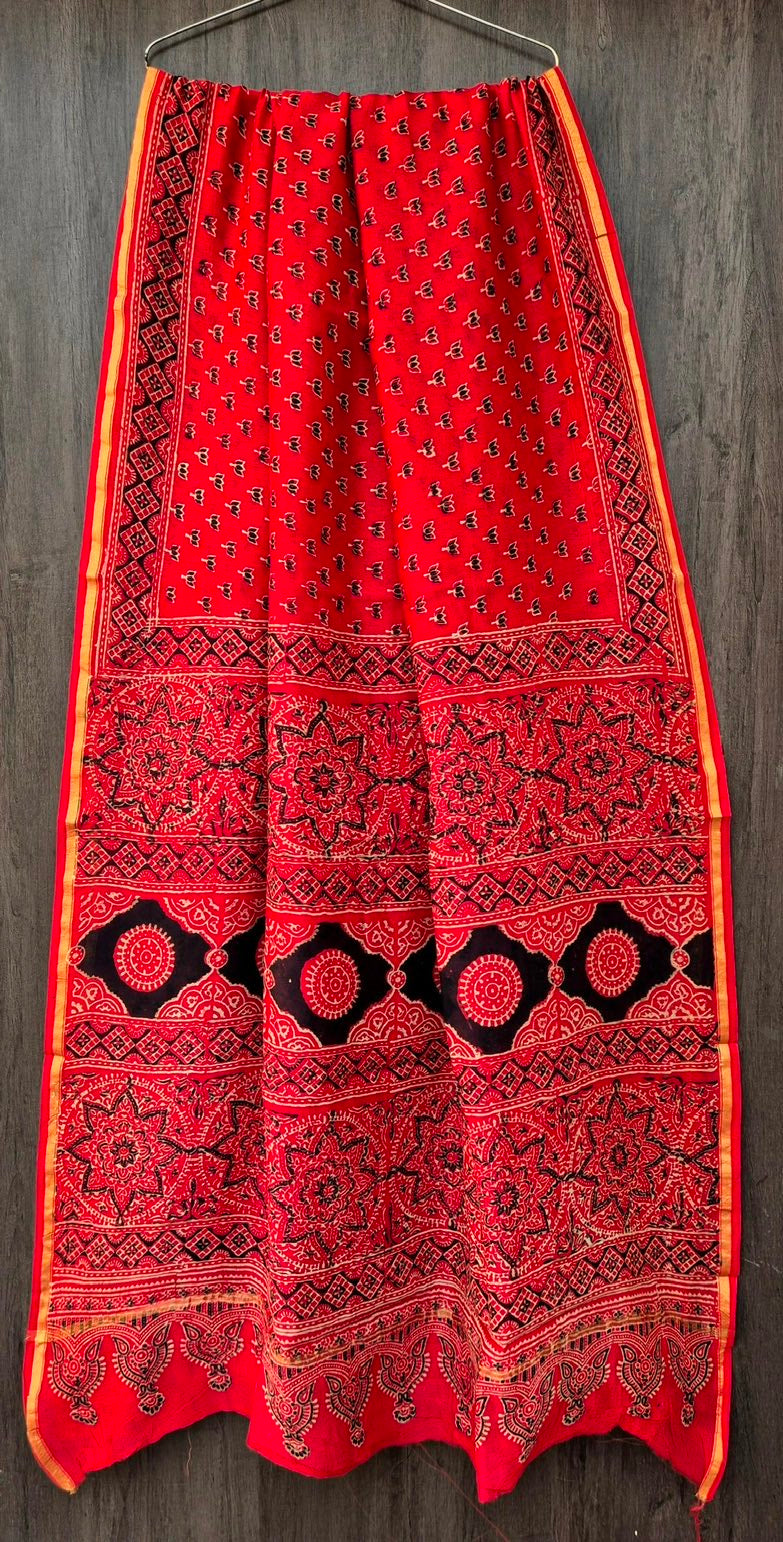 Baagh Chanderi Bagru Handblock Printed Silk Cotton Saree With Blouse - Red